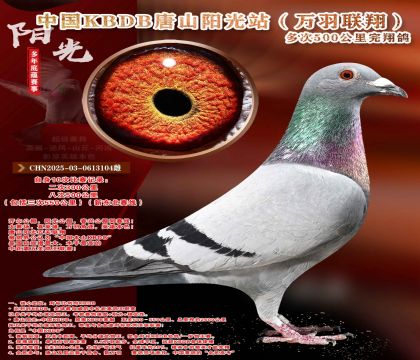 �¶����ߡ��������辫ѡ������ר��