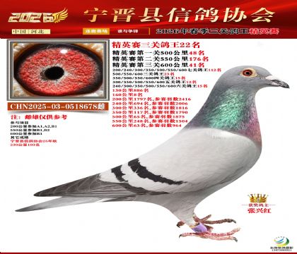 ��Ӣ���ظ���22��