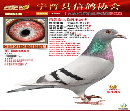 ��Ӣ���ظ���26��