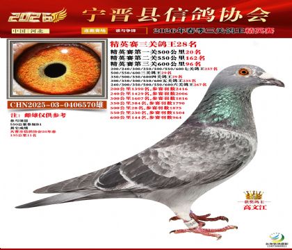 ��Ӣ���ظ���28��