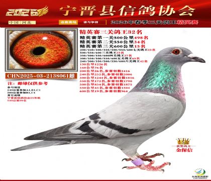 ��Ӣ���ظ���32��