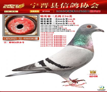 ��Ӣ���ظ���34��