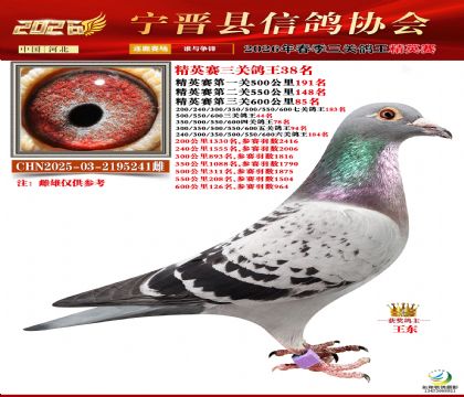 ��Ӣ���ظ���38��