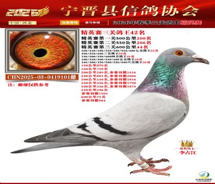 ��Ӣ���ظ���42��