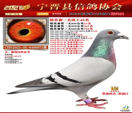 ��Ӣ���ظ���46��
