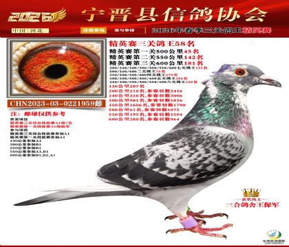 ��Ӣ���ظ���58��