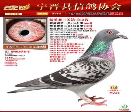 ��Ӣ���ظ���62��