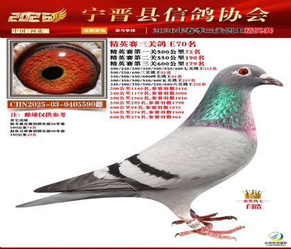 ��Ӣ���ظ���70��