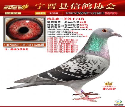 ��Ӣ���ظ���74��