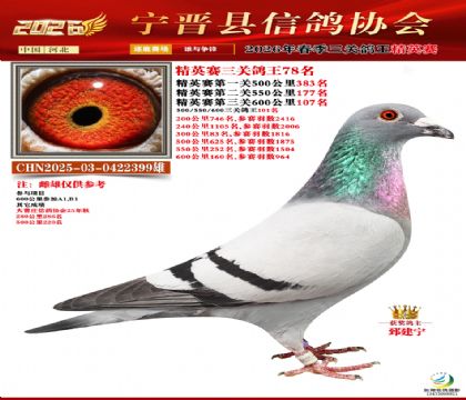 ��Ӣ���ظ���78��
