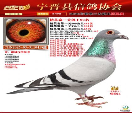 ��Ӣ���ظ���82��