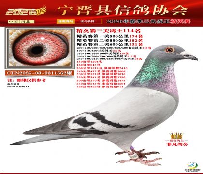 ��Ӣ���ظ���114��