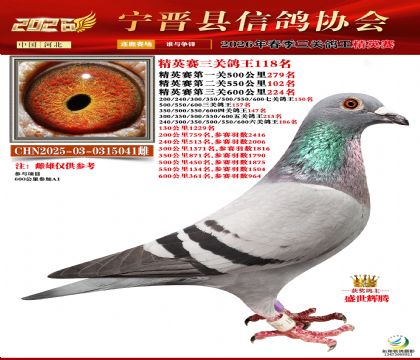 ��Ӣ���ظ���118��