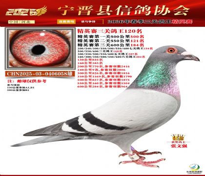 ��Ӣ���ظ���120��
