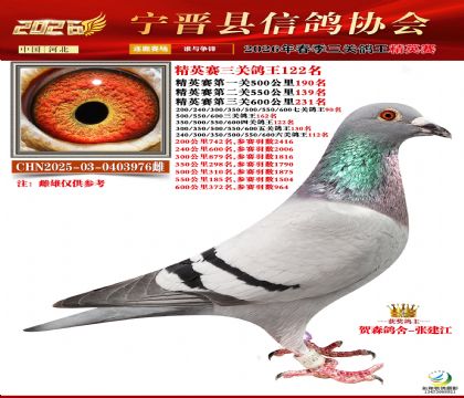 ��Ӣ���ظ���122��