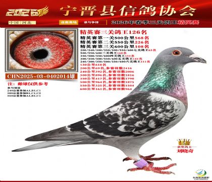 ��Ӣ���ظ���126��