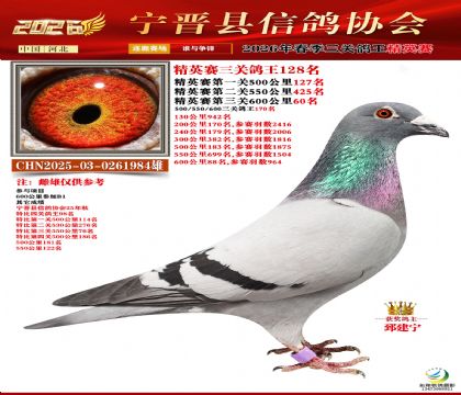 ��Ӣ���ظ���128��