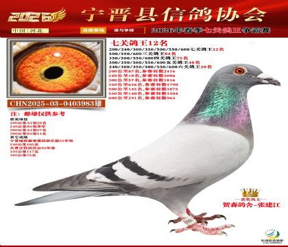 �߹ظ���12��