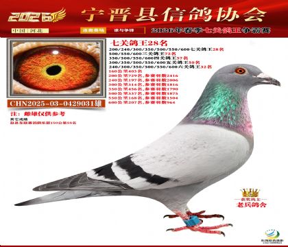 �߹ظ���28��