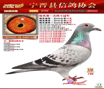 ��Ӣ�����ظ����ھ�