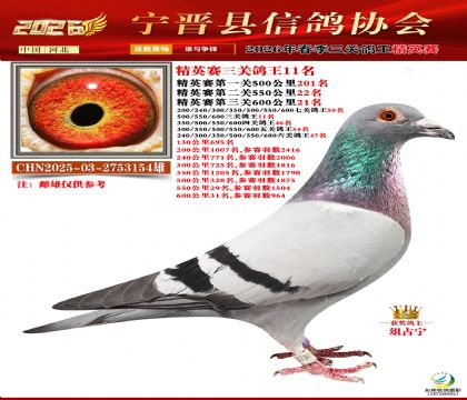 ��Ӣ�����ظ���11��