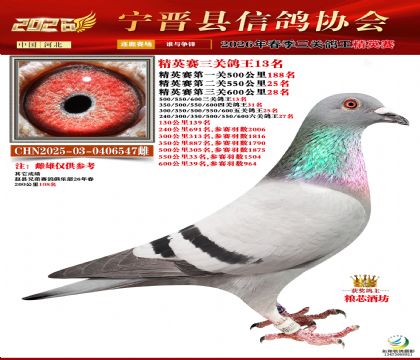 ��Ӣ�����ظ���13��