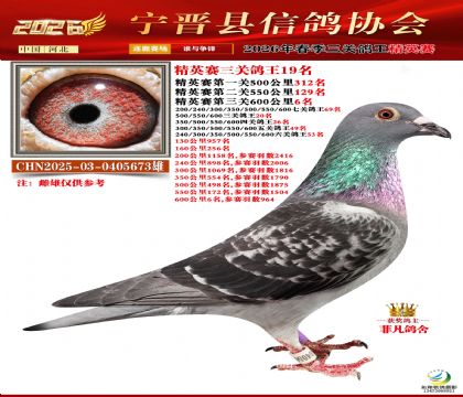 ��Ӣ�����ظ���19��