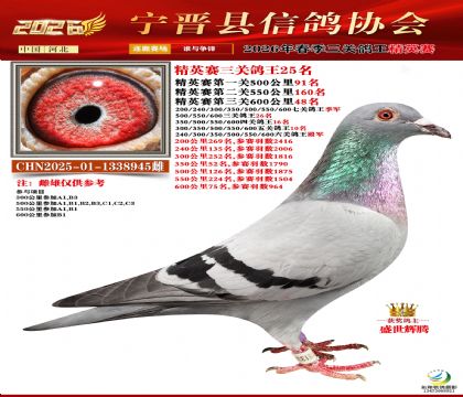 ��Ӣ�����ظ���25��