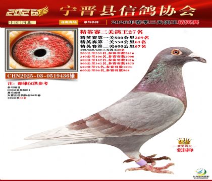 ��Ӣ�����ظ���27��