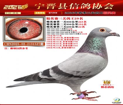 ��Ӣ�����ظ���29��
