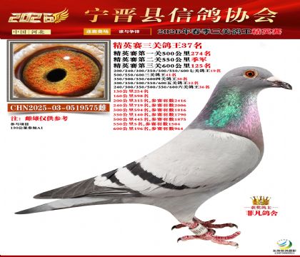 ��Ӣ�����ظ���37��