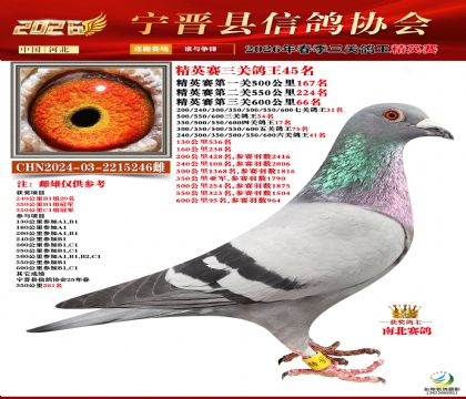 ��Ӣ�����ظ���45��