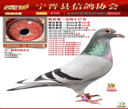 ��Ӣ�����ظ���47��