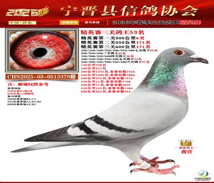 ��Ӣ�����ظ���53��