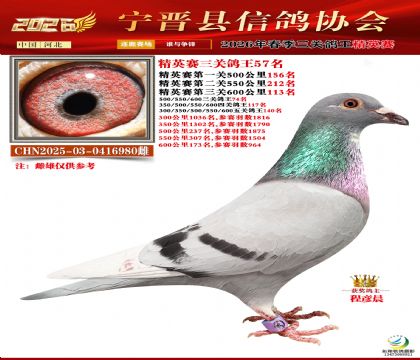 ��Ӣ�����ظ���57��