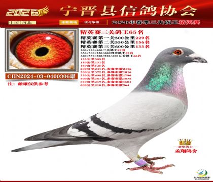 ��Ӣ�����ظ���65��