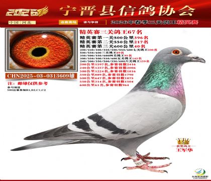 ��Ӣ�����ظ���67��