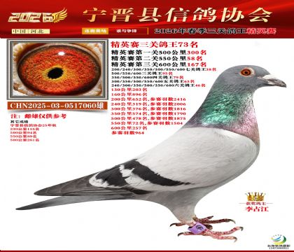 ��Ӣ�����ظ���73��