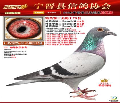 ��Ӣ�����ظ���79��