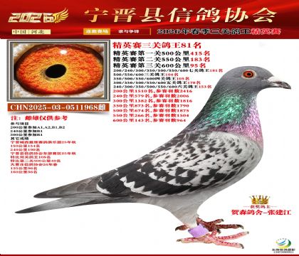 ��Ӣ�����ظ���81��
