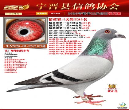 ��Ӣ�����ظ���83��