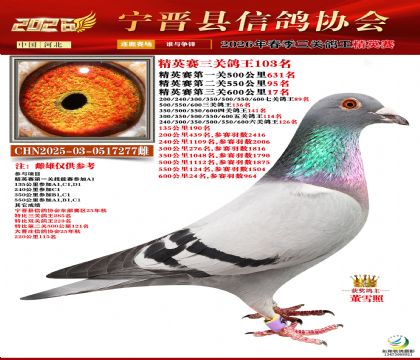 ��Ӣ�����ظ���103��