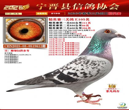 ��Ӣ�����ظ���105��