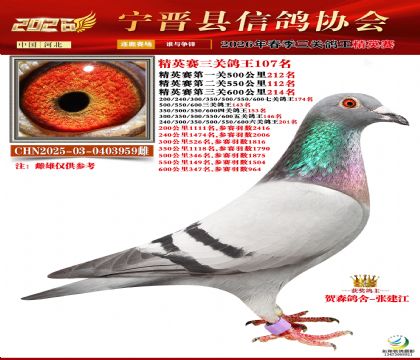 ��Ӣ�����ظ���107��