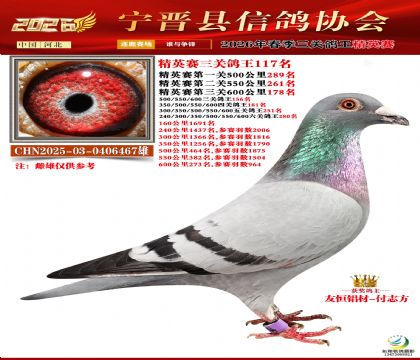 ��Ӣ�����ظ���117��