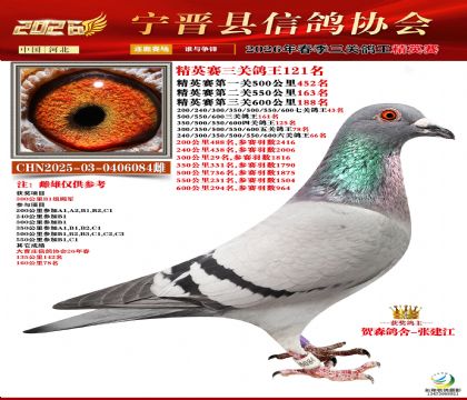 ��Ӣ�����ظ���121��