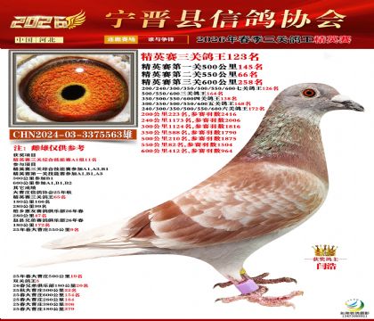 ��Ӣ�����ظ���123��