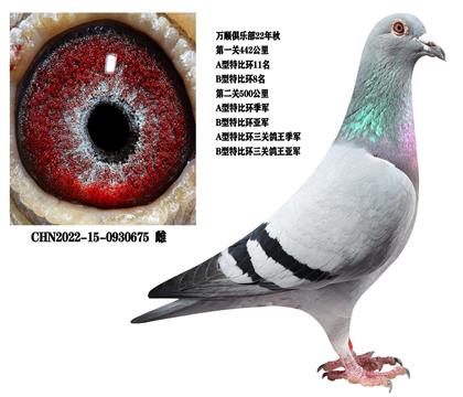 ĸ