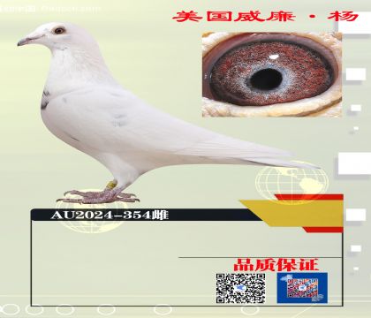 550����ھ�6688��Ѫ354