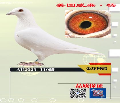 ������  ���ָ� 110